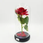 Rosa con luces y estuche