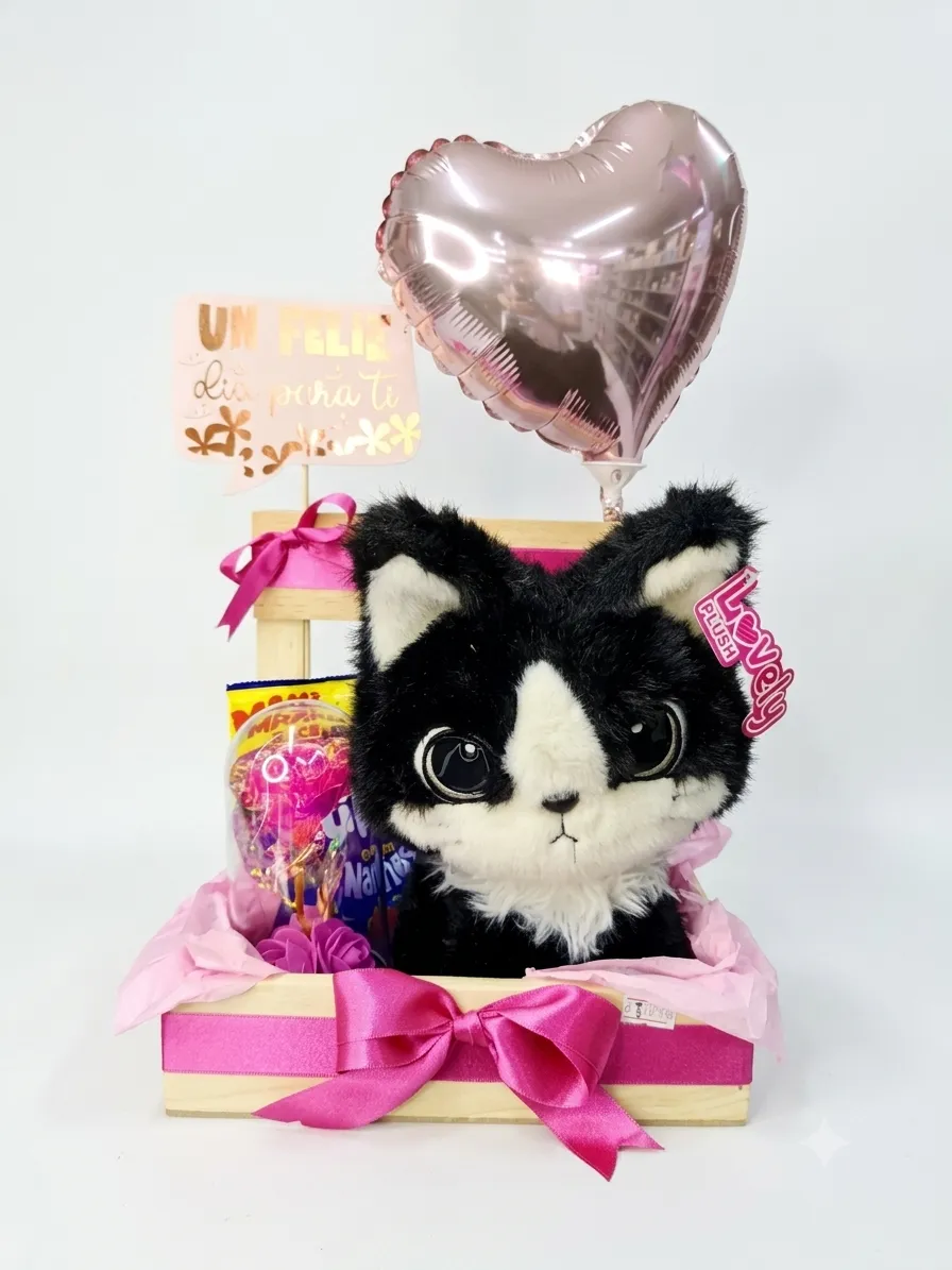 1788724444679 ancheta con peluche de gata de dulces y globos